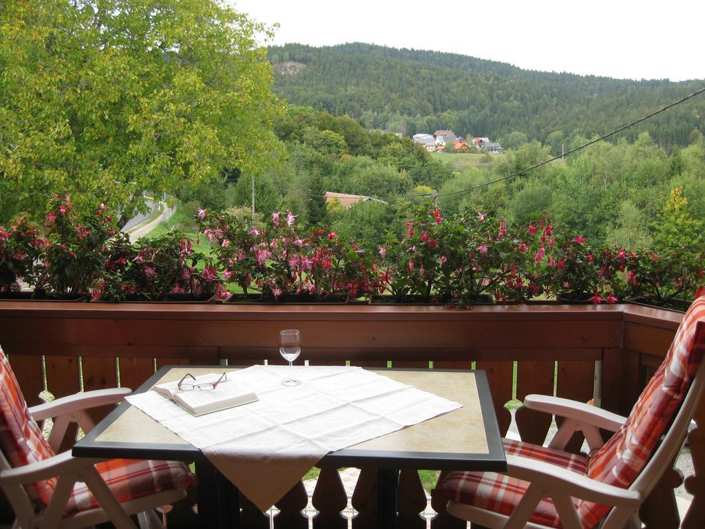 Ferienwohnung Haus am Kreuzbühl Dachsberg im Schwarzwald Exterior foto