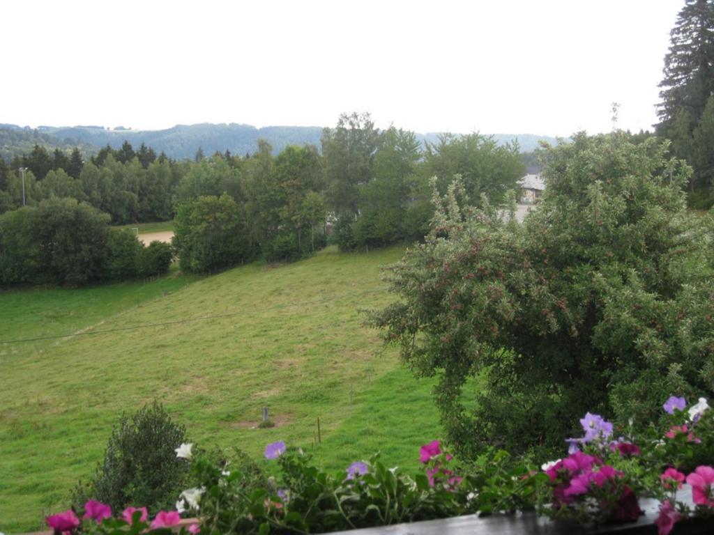 Ferienwohnung Haus am Kreuzbühl Dachsberg im Schwarzwald Exterior foto