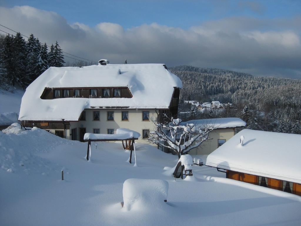Ferienwohnung Haus am Kreuzbühl Dachsberg im Schwarzwald Exterior foto