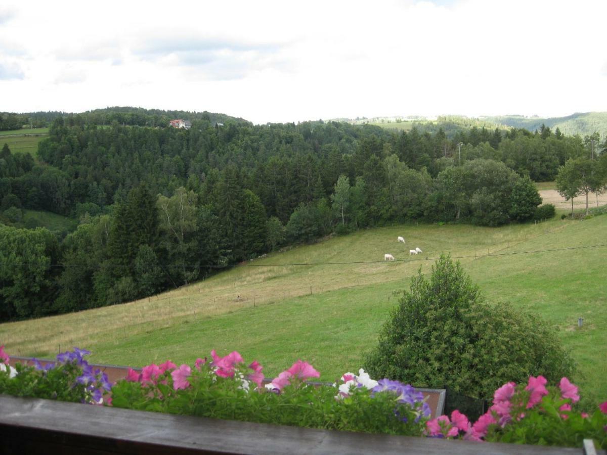 Ferienwohnung Haus am Kreuzbühl Dachsberg im Schwarzwald Exterior foto